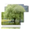 modern tree paintings