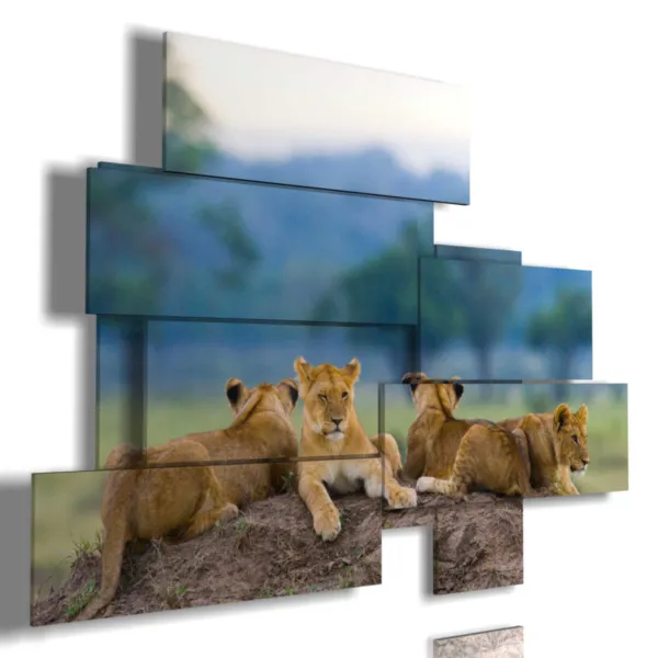 Paintings of lions and puppies