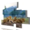 Paintings of lions for decor