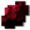 paintings red roses - version: 4 pannelli 77x78cm