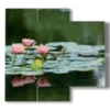 blumen bild rosa seerose - version: 4 pannelli 91x85cm