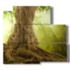quadro alberi con tronco maestoso - version: 5 pannelli 102x93cm