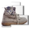 gatto quadro nascosto nella scarpa - version: 4 pannelli 83x78cm