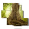 quadro alberi con tronco maestoso - version: 5 pannelli 104x92cm
