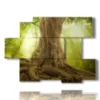 painting trees with majestic trunk - version: 6 pannelli 129x94cm