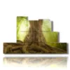 painting trees with majestic trunk - version: 7 pannelli 171x101cm