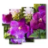 quadri astratti con fiori viola - version: 5 pannelli 106x98cm