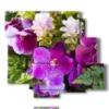 cuadros abstractos con flores violetas - version: 6 pannelli 113x99cm
