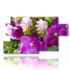 tableaux abstraits avec fleurs violettes - version: 7 pannelli 157x90cm