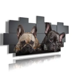 Gemälde mit neugierigen Hunden