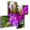 tableaux abstraits avec fleurs violettes