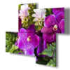 tableaux abstraits avec fleurs violettes