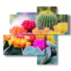blumenbild mit bunten sukkulenten - version: 4 pannelli 94x85cm