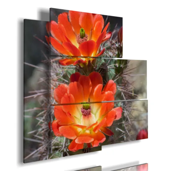 modern flower paintings