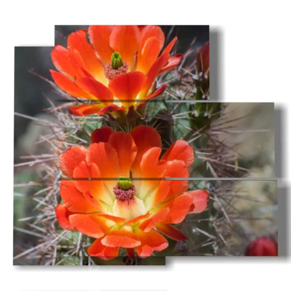 quadro fiori moderni