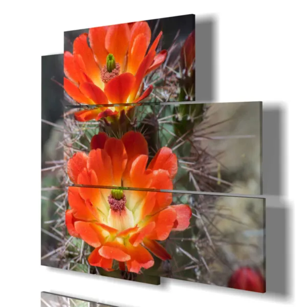 modern flower prints