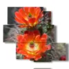 painting modern flowers succulents - version: 5 pannelli 104x92cm