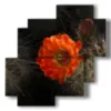 modern paintings of sweet but thorny flowers - version: 4 pannelli 77x78cm
