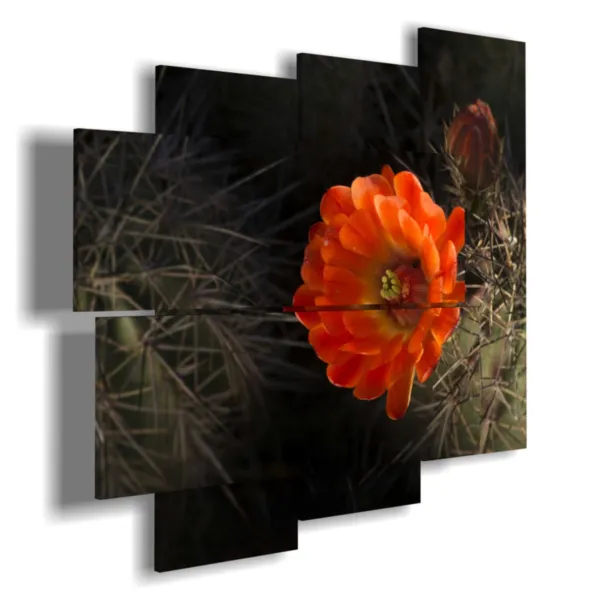 quadri di fiori moderni