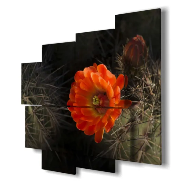 stampe quadri moderni di fiori