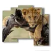 paintings with lion embracing the branch - version: 5 pannelli 89x77cm