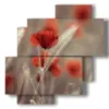 quadro fiori papaveri e spighe - version: 4 pannelli 77x78cm