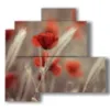 bild mohnblueten und ahren - version: 4 pannelli 83x78cm