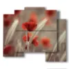 quadro fiori papaveri e spighe - version: 5 pannelli 89x77cm