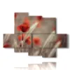 quadro fiori papaveri e spighe - version: 6 pannelli 135x96cm