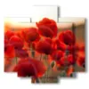 mohnblumenquadrate und das war s - version: 5 pannelli 89x85cm
