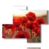 mohnblumenquadrate und das war s - version: 4 pannelli 94x77cm
