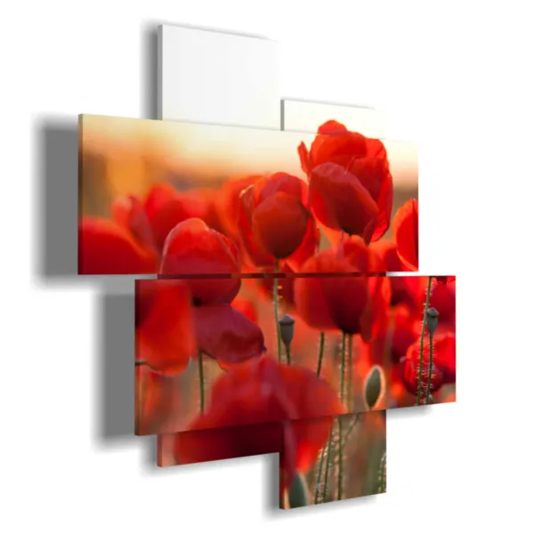 Blumenmuster Fensterrahmen mit Mohnblumen
