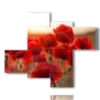 poppy flower squares and that s it - version: 4 pannelli 117x97cm