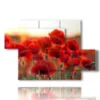 mohnblumenquadrate und das war s - version: 5 pannelli 128x85cm