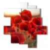 poppy flower squares and that s it - version: 11 pannelli 146x158cm