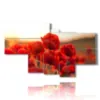 poppy flower squares and that s it - version: 7 pannelli 171x102cm