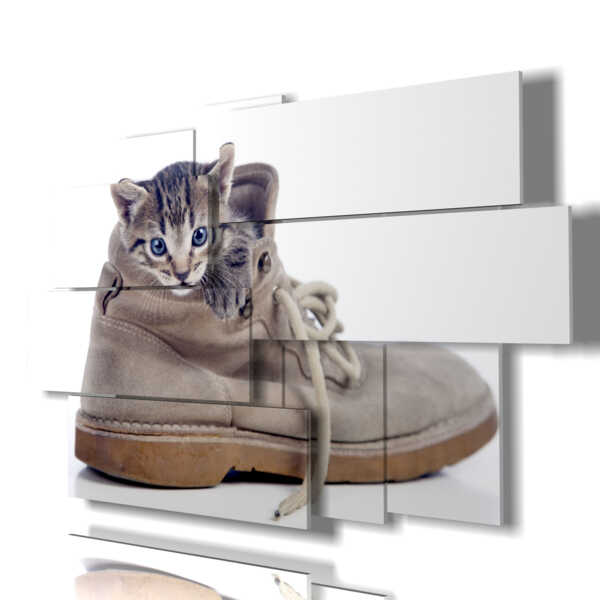 cuadro gato escondido en el zapato