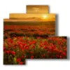 cuadro campo de amapolas al atardecer - version: 4 pannelli 83x78cm