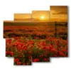 campo di papaveri quadro al tramonto - version: 5 pannelli 106x98cm