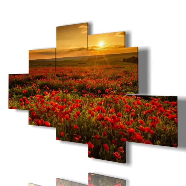 Drucke das Feld mit Mohnblumen.