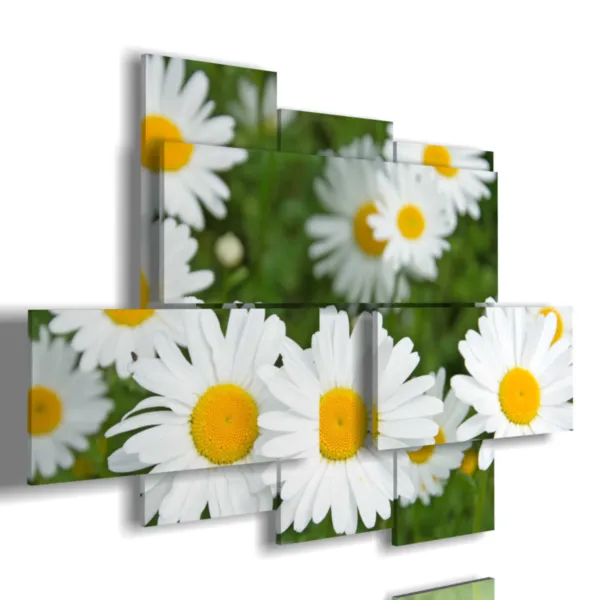 Paintings of daisies