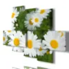 Print of daisies