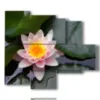 tableau aux fleurs de lotus - version: 5 pannelli 104x90cm