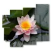 bild mit lotusblueten - version: 5 pannelli 106x98cm