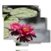 quadro fiori moderno ninfee viola - version: 6 pannelli 113x99cm