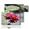 quadro fiori moderno ninfee viola - version: 6 pannelli 122x96cm