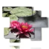quadro fiori moderno ninfee viola - version: 6 pannelli 127x102cm