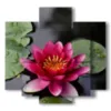 ninfee quadro nello stagno - version: 5 pannelli 89x85cm