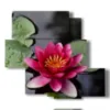 ninfee quadro nello stagno - version: 5 pannelli 104x92cm
