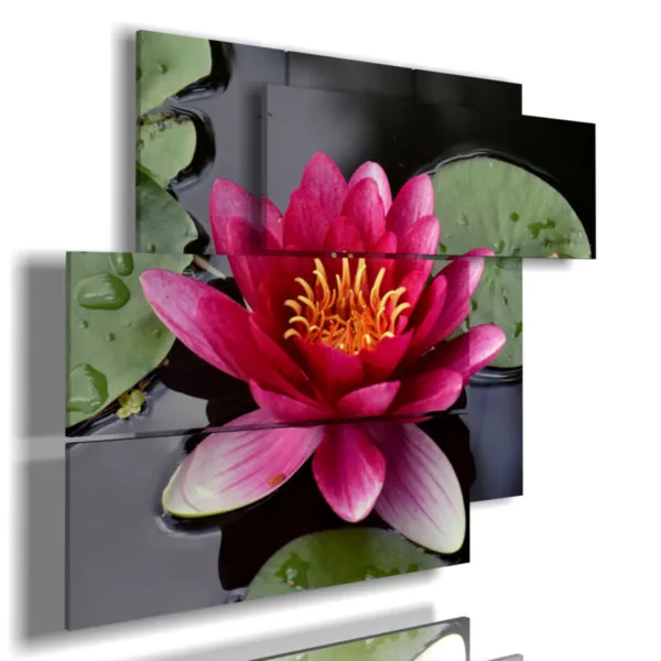 ninfee quadro nello stagno